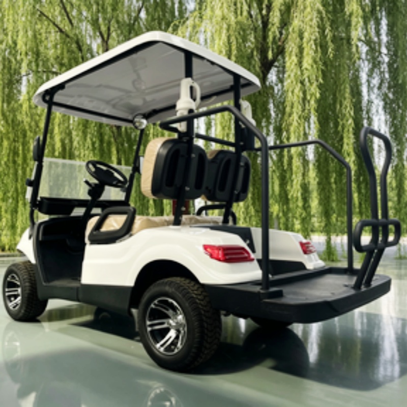 Golf Bag Stand Cart - China Elektrische Golfkar Lithium Batterij 2