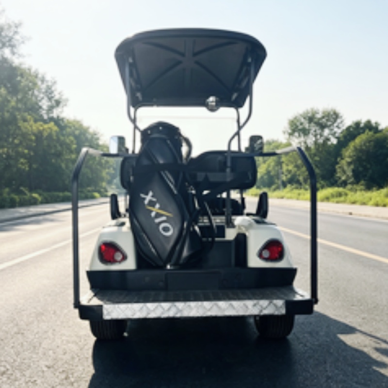 2026 Nieuw gelanceerde 2-perso - Golf Bag Stand Cart recensie en prijs