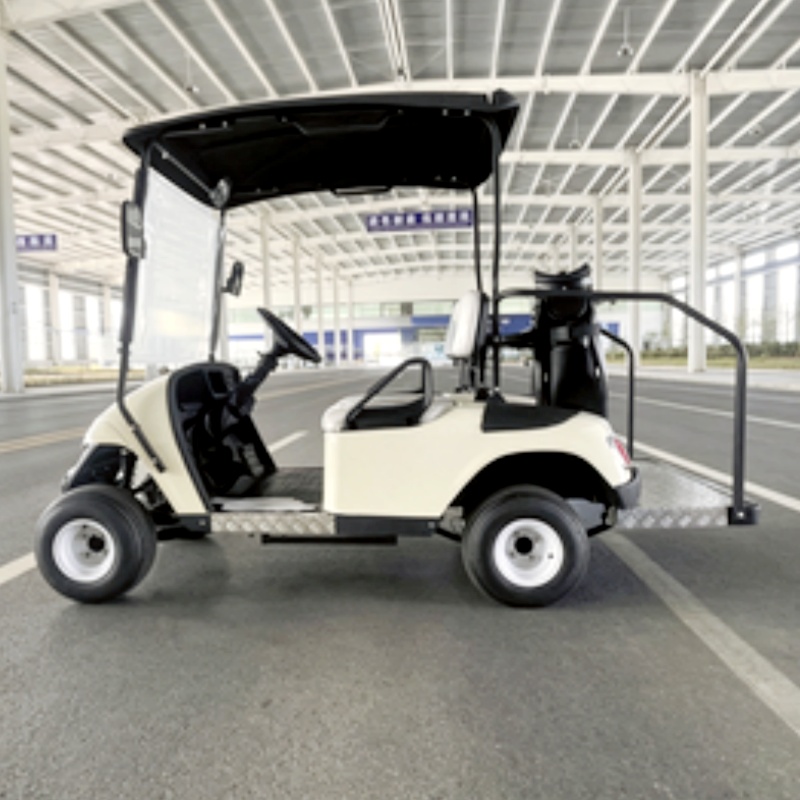 2026 Nieuw gelanceerde 2-perso - Golf Bag Stand Cart recensie en prijs