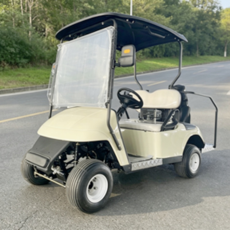 2026 Nieuw gelanceerde 2-perso - Golf Bag Stand Cart recensie en prijs