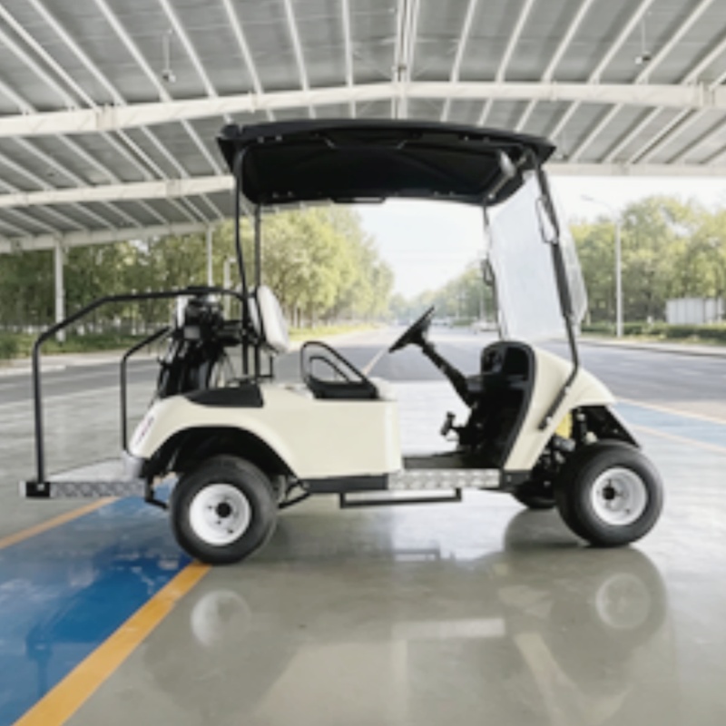 2026 Nieuw gelanceerde 2-perso - Golf Bag Stand Cart recensie en prijs