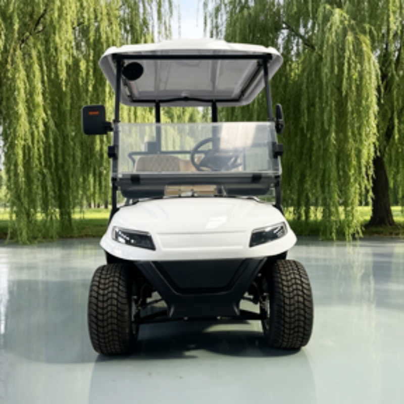 China Elektrische Golfkar Lith - Golf Bag Stand Cart recensie en prijs