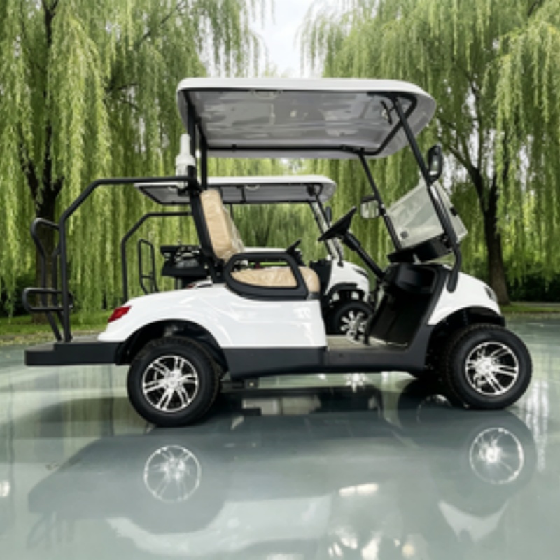 China Elektrische Golfkar Lith - Golf Bag Stand Cart recensie en prijs