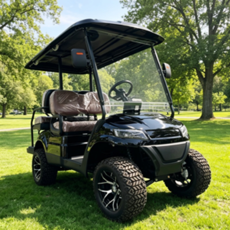 Elektrische golfkar voor 2 per - Golf Bag Stand Cart recensie en prijs