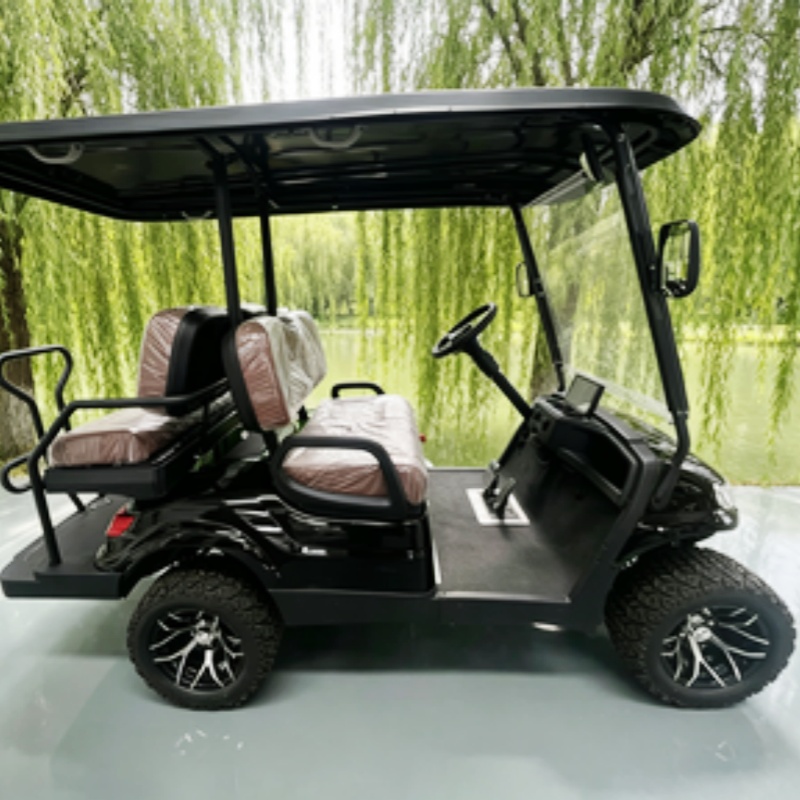Lithium Batterij Club 2-zits e - Golf Bag Stand Cart recensie en prijs