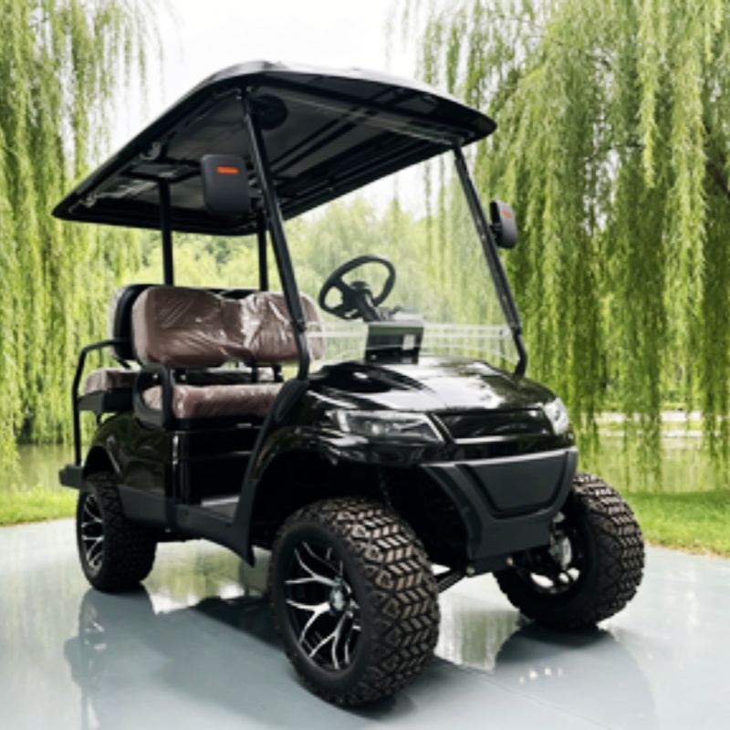 Lithium Batterij Club 2-zits e - Golf Bag Stand Cart recensie en prijs